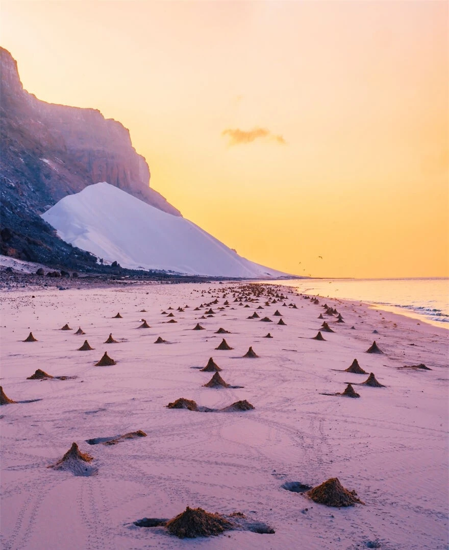 Khám phá “hòn đảo ngoài hành tinh” Socotra