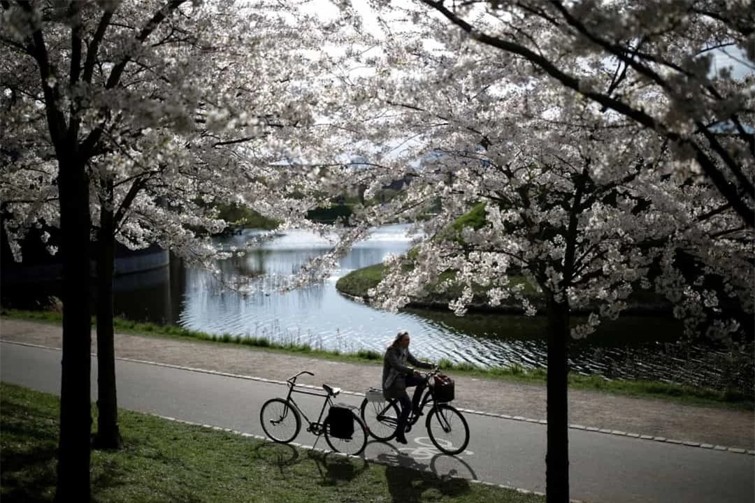 Những thành phố lý tưởng dành cho người đi xe đạp