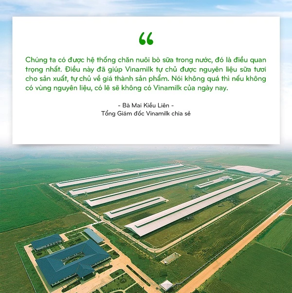 15 năm xây dựng hệ thống trang trại của “triệu phú sữa tươi” Việt Nam. Hình 1)