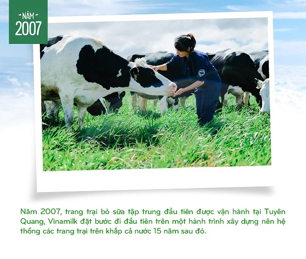 15 năm xây dựng hệ thống trang trại của “triệu phú sữa tươi” Việt Nam (hình 2). 