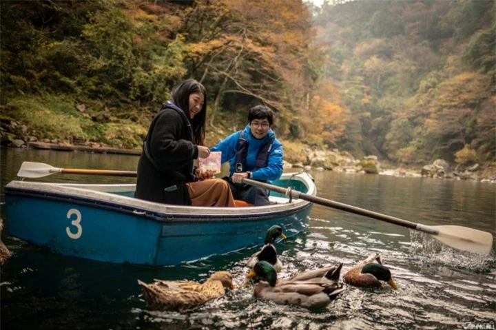 Cảnh thiên nhiên huyền bí ở hẻm núi ‘nơi nước Nhật được sinh ra’ - 7