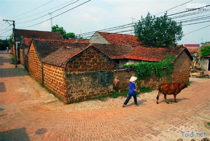 Đất Việt xưa: Một ngày thử ‘sống chậm’ ở cổ trấn bình yên giữa lòng Hà Nội - 3