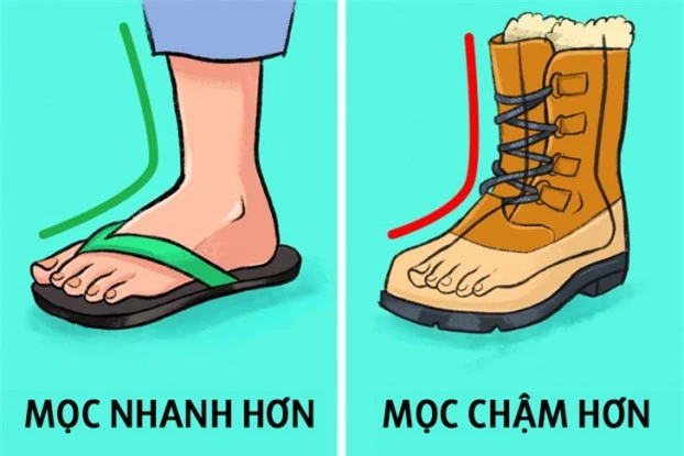 Vì sao móng tay mọc dài nhanh hơn móng chân? 0