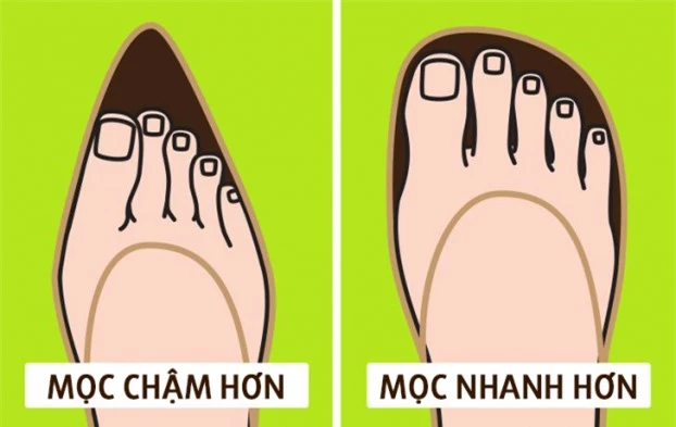 Vì sao móng tay mọc dài nhanh hơn móng chân? 2