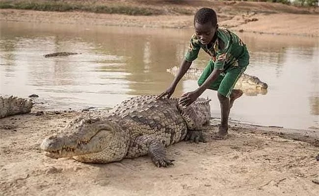 Bazoule - Nơi dân làng sống chung với những con cá sấu