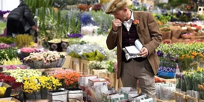 Ghé thăm chợ hoa ở London