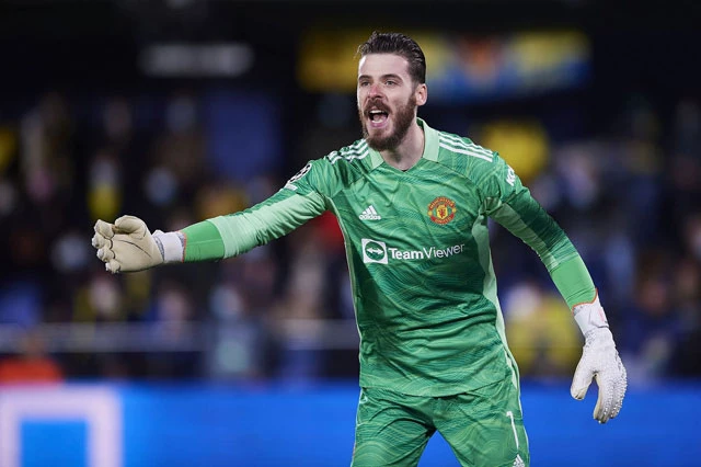 Thủ môn: David De Gea (Man Utd).