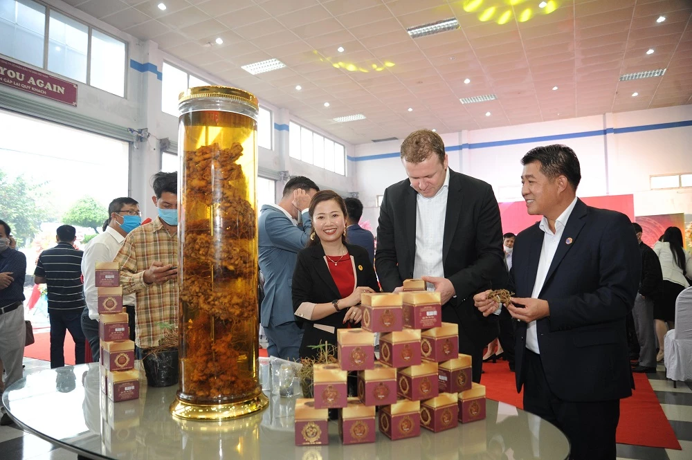 Khách mời tham quan khu trưng bày sản phẩm của Công ty Sâm Việt Nam. 