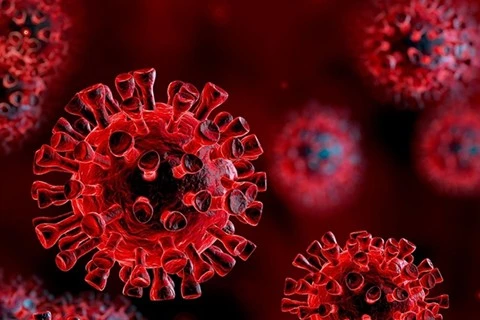Bộ Y tế đã chủ động triển khai các biện pháp phòng chống biến chủng mới (Omicron) của virus SARS-CoV-2.