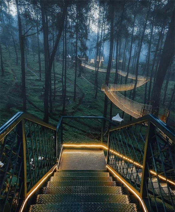 Cây cầu phát sáng giữa rừng ở Indonesia