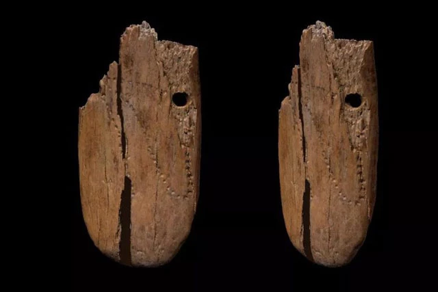 Hai mảnh trang sức bằng ngà voi được tìm thấy ở Ba Lan