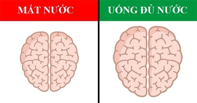 Những thói quen có thể khiến não bộ thay đổi hoàn toàn