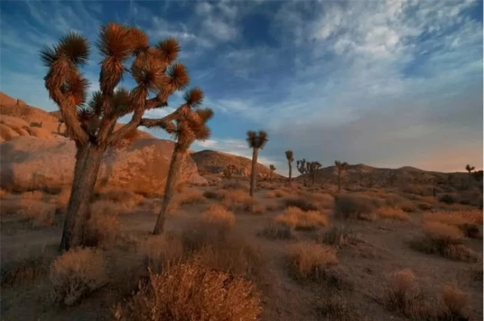 10 sa mạc đẹp nhất thế giới, đáng được ghi danh vào sổ tay du lịch của bạn 5