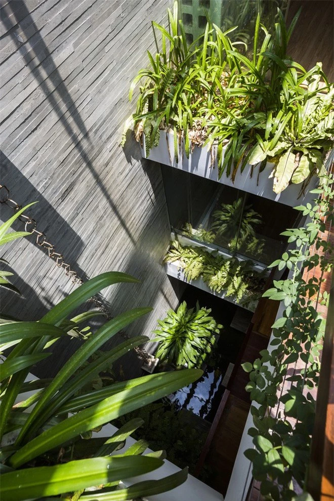 Ngôi nhà sâu 35m với khu vườn trên sân thượng đẹp muốn hờn ở Đà Nẵng - Ảnh 6.
