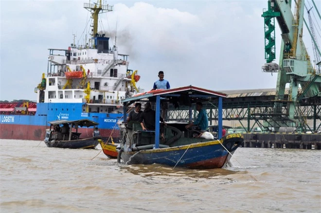 Cơn sốt săn kho báu của Vương quốc Sriwijaya cổ đại: Dân Indonesia đổ xô đi làm thợ lặn - Ảnh 5.