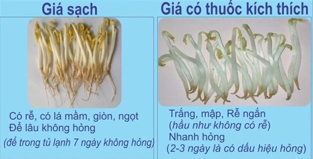 6-thuc-pham-tuong-tot-nhung-la-sat-thu-hai-gan-01