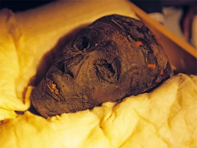 Mở quan tài vua Ai Cập, cả đội khảo cổ đều lần lượt qua đời kỳ lạ: Tưởng dính lời nguyền chết chóc nhưng sự thật mãi về sau mới hé lộ - Ảnh 2.