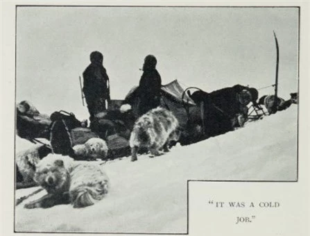 Nam Cực lục địa chứa đựng đầy đau đớn và hi sinh của loài chó - Ảnh 1.