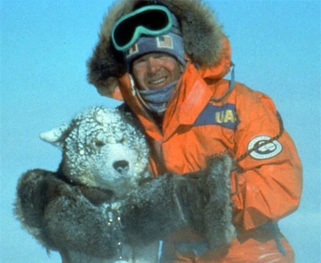 Nam Cực lục địa chứa đựng đầy đau đớn và hi sinh của loài chó - Ảnh 12.