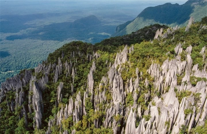 Các cọc đá sắc nhọn ‘mọc’ giữa núi rừng tạo nên khung cảnh ngoạn mục bí ẩn - 1