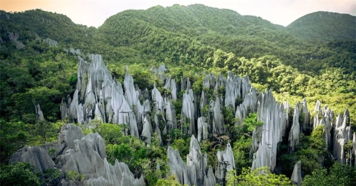 Các cọc đá sắc nhọn ‘mọc’ giữa núi rừng tạo nên khung cảnh ngoạn mục bí ẩn - 2
