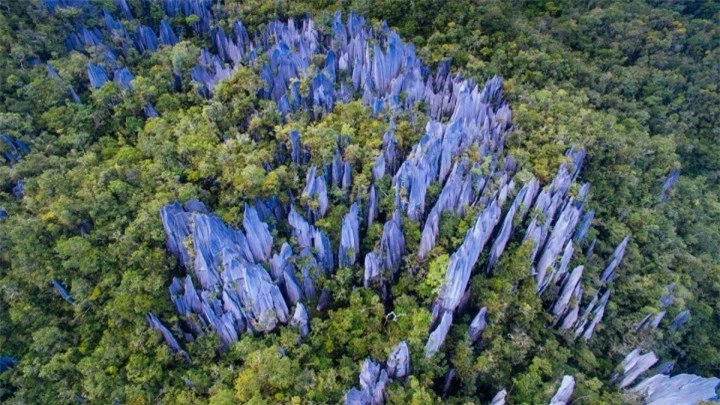 Các cọc đá sắc nhọn ‘mọc’ giữa núi rừng tạo nên khung cảnh ngoạn mục bí ẩn - 3