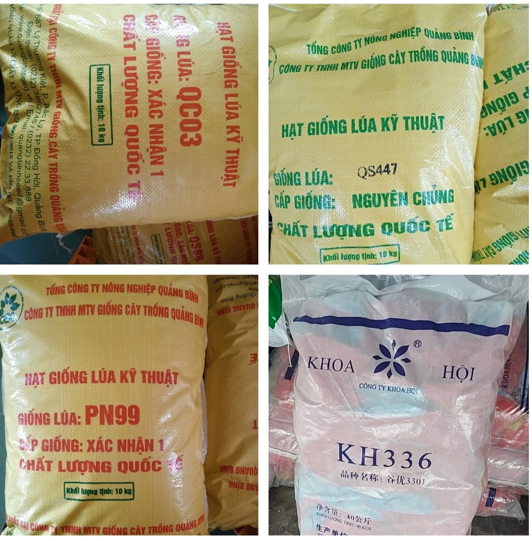 Các giống lúa chưa được công nhận nhưng đã được công ty TNHH MTV giống cây trồng Quảng Bình mua bán ngoài thị trường