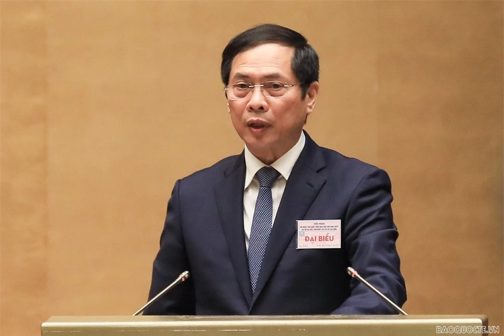 Tổng Bí thư Nguyễn Phú Trọng: Khí thế mới, xung lực mới trong hoạt động đối ngoại - Ảnh 6.