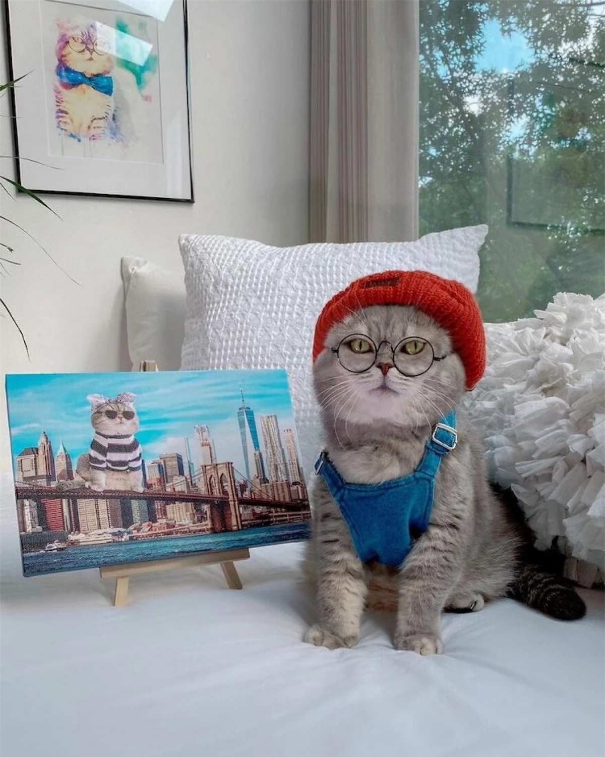 Người chủ đã phát hiện ra tình yêu thời trang của chú mèo này khi họ đeo thử một cặp kính cho Benson và nhận thấy chú mèo có vẻ rất thích đeo chúng. 