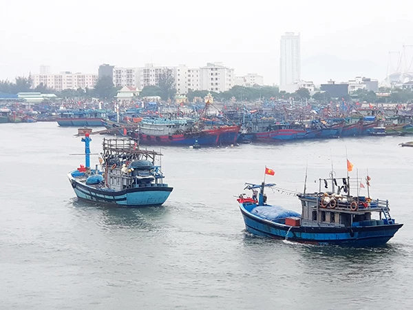 Tàu cá của ngư dân miền Trung vào trú ẩn tại Âu thuyền Thọ Quang (Đà Nẵng) để tránh bão trên Biển Đông