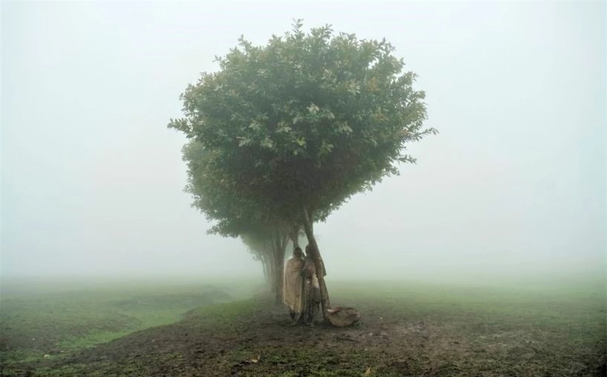 Trẻ em, Ethiopia, tháng 7/2021.Vào tháng 7, một nhóm trẻ em được chụp ảnh đứng dưới gốc cây trong khuôn viên trại dành cho người tị nạn Eritrean, gần làng Dabat, phía Đông Bắc thành phố Gondar (Ethiopia). Một lớp sương mù bao phủ quanh khung cảnh đã tạo cho hình ảnh một nét huyền ảo. Bức ảnh đã gợi nhớ đến vô số ví dụ trong lịch sử “cây của sự sống” - một chủ đề đã truyền cảm hứng cho tất cả mọi người từ thời cổ đại, vốn coi cây là biểu tượng tôn giáo, tâm linh...
