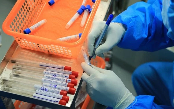 Vaccine dịch tả lợn châu Phi do Việt Nam sản xuất đã sẵn sàng ra thị trường. (Ảnh minh hoạ)