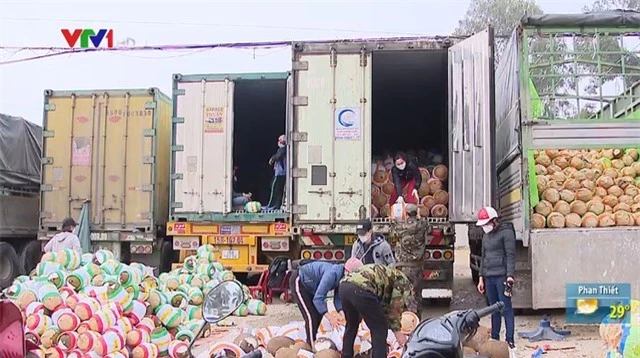 Ùn ứ ở cửa khẩu, nhiều container mít quay đầu bán rẻ như cho - Ảnh 1.