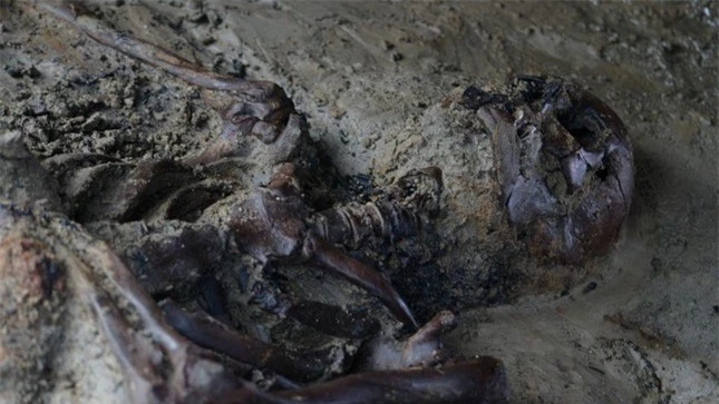 Khai quật bộ xương 2.000 năm tuổi, hé lộ sự chết chóc rùng rợn khi núi lửa phun trào ảnh 1