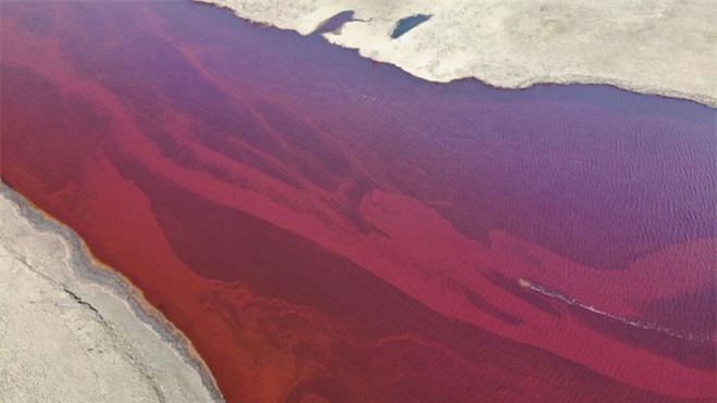 Dòng sông Bắc Cực bỗng nhuộm màu đỏ rực như máu, và lý do đằng sau sẽ khiến bạn cảm thấy đau lòng - Ảnh 1.