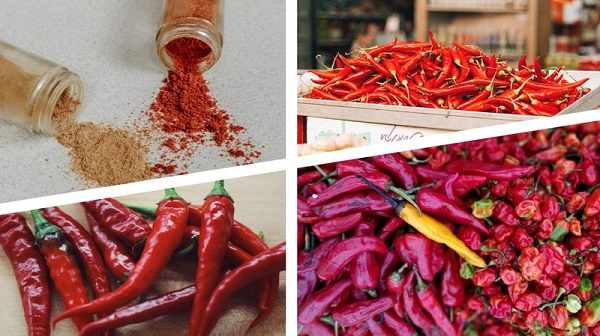 Điều chế thành công gel giảm đau từ trái ớt