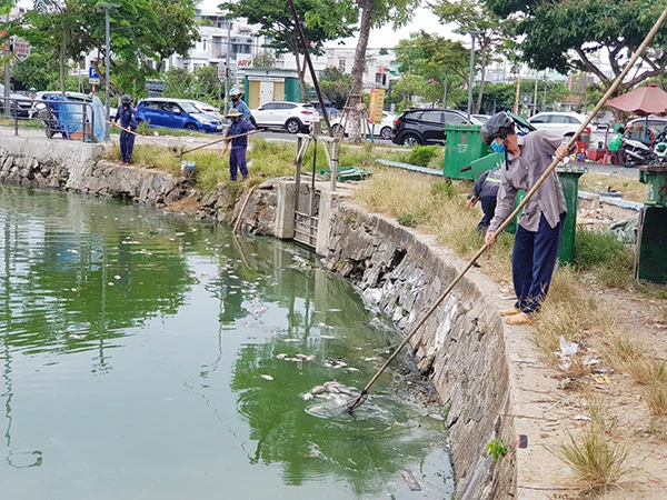 TP Đà Nẵng cho vay ưu đãi để đầu tư về kiểm soát ô nhiễm, dịch vụ xử lý môi trường...