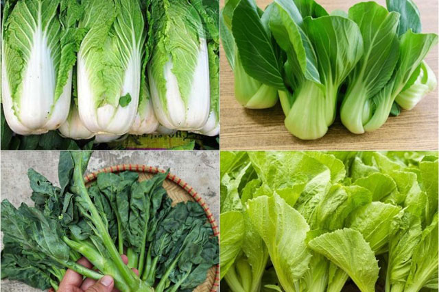 Rau cải rất tốt nhưng lại đại kỵ với 5 nhóm người dưới đây, chỉ ăn vài miếng cũng đủ "ôm họa"