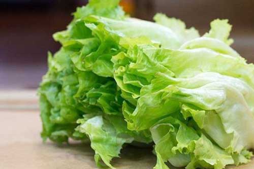 Mách bạn phân biệt rau xà lách sạch, không phun thuốc và cách rửa rau xà lách không bị dập nát