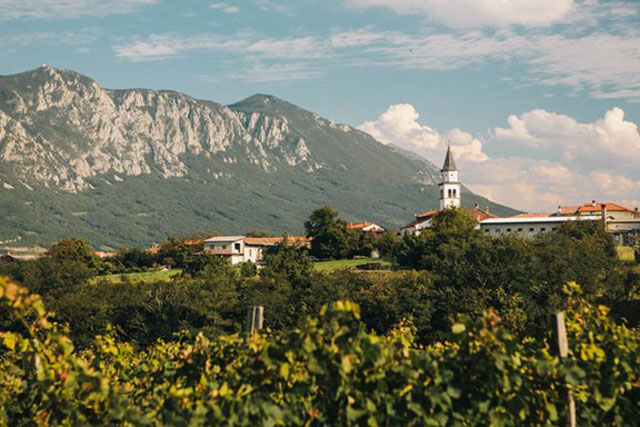 Thung lũng Vipava: Kho báu ẩn tuyệt đẹp của Slovenia