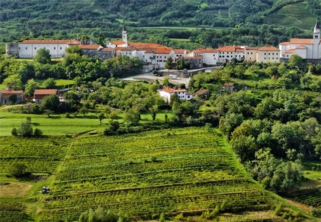 Ng&ocirc;i l&agrave;ng cổ tuyệt đẹp ở Thung lũng Vipava, Slovenia. Ảnh: Travel Slovenia.