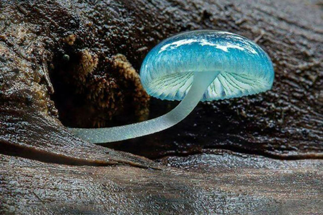 Ngỡ ngàng trước những khoảnh khắc kỳ thú của Mẹ Thiên nhiên