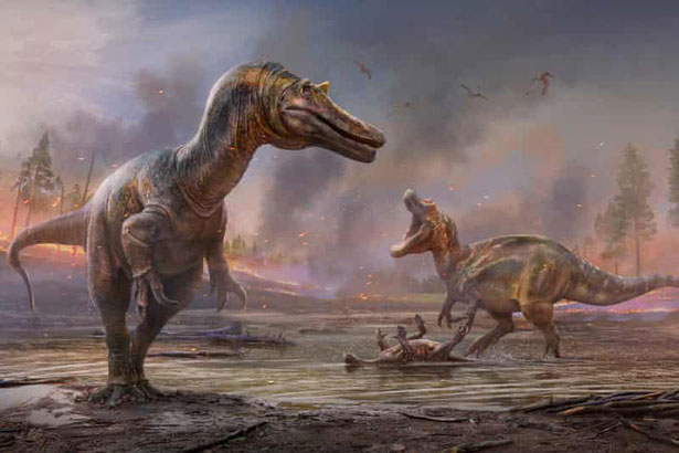 Phát hiện 6 loài khủng long cùng hơn 500 loài mới trong năm 2021