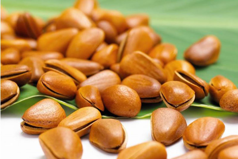 10 công dụng bất ngờ của hạt thông đối với sức khỏe