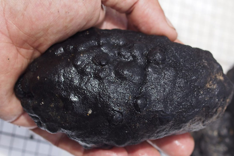 'Mổ xẻ' ụ đất dưới đáy biển sâu 4.000m, chuyên gia kinh ngạc vì thứ đắt giá bên trong