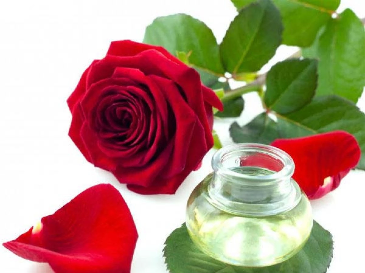 Tinh dầu hoa hồng: Tinh dầu hoa hồng có tác động đến các hoạt động nội tiết và chức năng của các tuyến tiết hormone trong cơ thể. Tinh dầu hoa hồng có thể giúp phụ nữ sau sinh ổn định tâm trạng và giảm các triệu chứng trầm cảm sau sinh. Tinh dầu hoa hồng còn có khả năng hỗ trợ điều trị liệt dương ở nam giới.