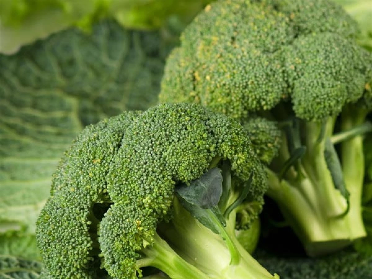Bông cải xanh: Bông cải xanh rất giàu diindolylmethane (DIM), một dưỡng chất thực vật có vai trò quan trọng trong việc duy trì cân bằng nội tiết. Sự cân bằng nội tiết mà DIM tạo ra giúp giảm nguy cơ mắc các bệnh ung thư ở cả nam và nữ.