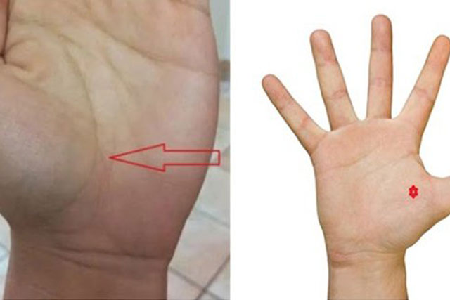 4 đặc điểm chỉ xuất hiện ở bàn tay của người thành công, 1 điểm ai có thì nghèo hèn lụi bại