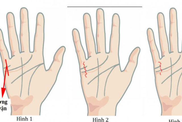 Bỏ 1 giây soi lòng bàn tay, biết ngay ai là con cưng của Thần Tài, hưởng kiếp giàu sang
