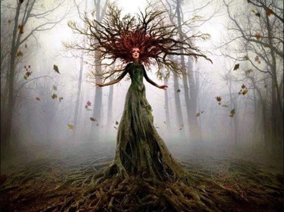 Bí ẩn rùng rợn về khu đầm lầy gắn với lời nguyền của "hồn ma nữ vương" trong cây cổ thụ và sự tồn tại của 1 loại sinh vật đáng sợ